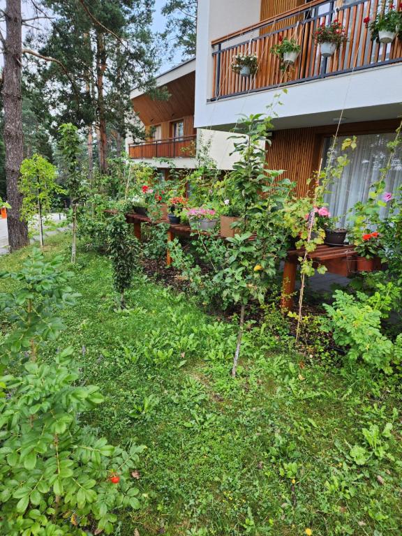 Tarčin Forest Resort & Spa 5* - Deluxe Vila | Iskusite harmoniju i ravnotežu kroz Wellness & Spa odmor u prirodnom okruženju!