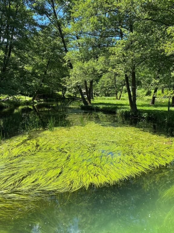 Doživite sklad prirode i odmora – Boravite u Hotelu Plivsko Jezero 3* i uživajte u bajkovitoj ljepoti Jajca i smaragdnog  jezera!