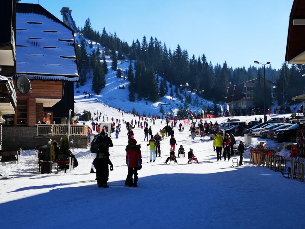 Zima na Vlašiću nikada nije bila ljepša – uživajte u vrhunskoj usluzi, toplini doma i čarobnom zimskom ambijentu Ville Ugar 3*!