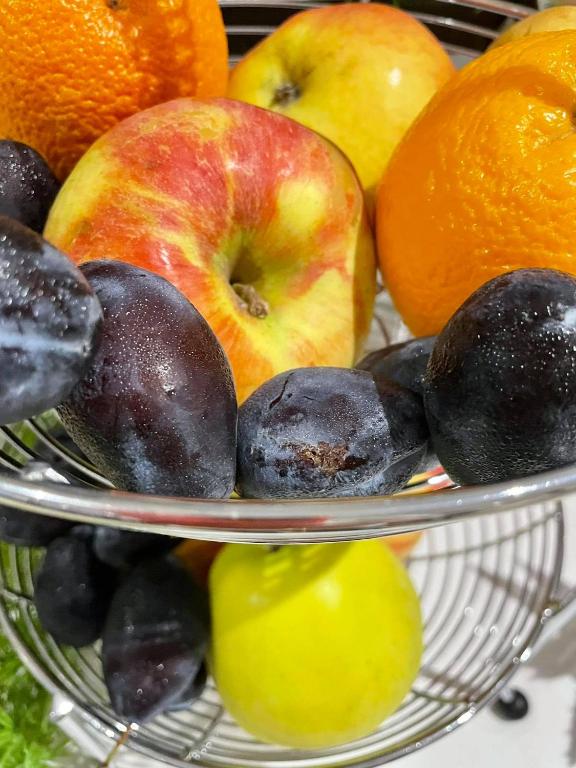 Hotel Stolac 4* – otkrijte čaroliju odmora u slikovitom ambijentu gdje se priroda i bogata historija susreću u savršenoj harmoniji, stvarajući idealno mjesto za opuštanje!