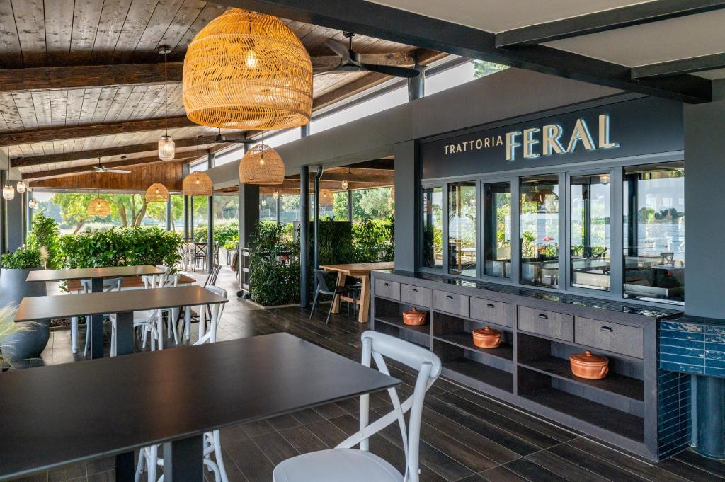 Kamp Polari, Rovinj I Uživajte u odmoru okruženi stoljetnim maslinama, borovim šumama i kristalno čistim morem u srcu Istre!