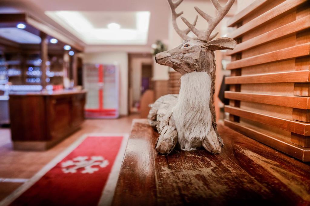 Zima na Vlašiću – savršen spoj prirodnog mira i luksuznog Wellness & Spa opuštanja u Hotelu Pahuljica 4*!