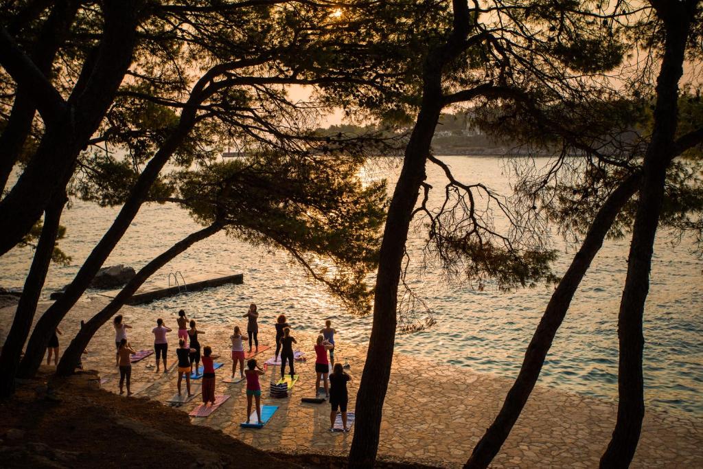 Fontana Resort 2*, Hvar I Mjesto gdje se more i borovi spajaju u savršenstvo stvarajući idealan ambijent za opuštajući odmor!