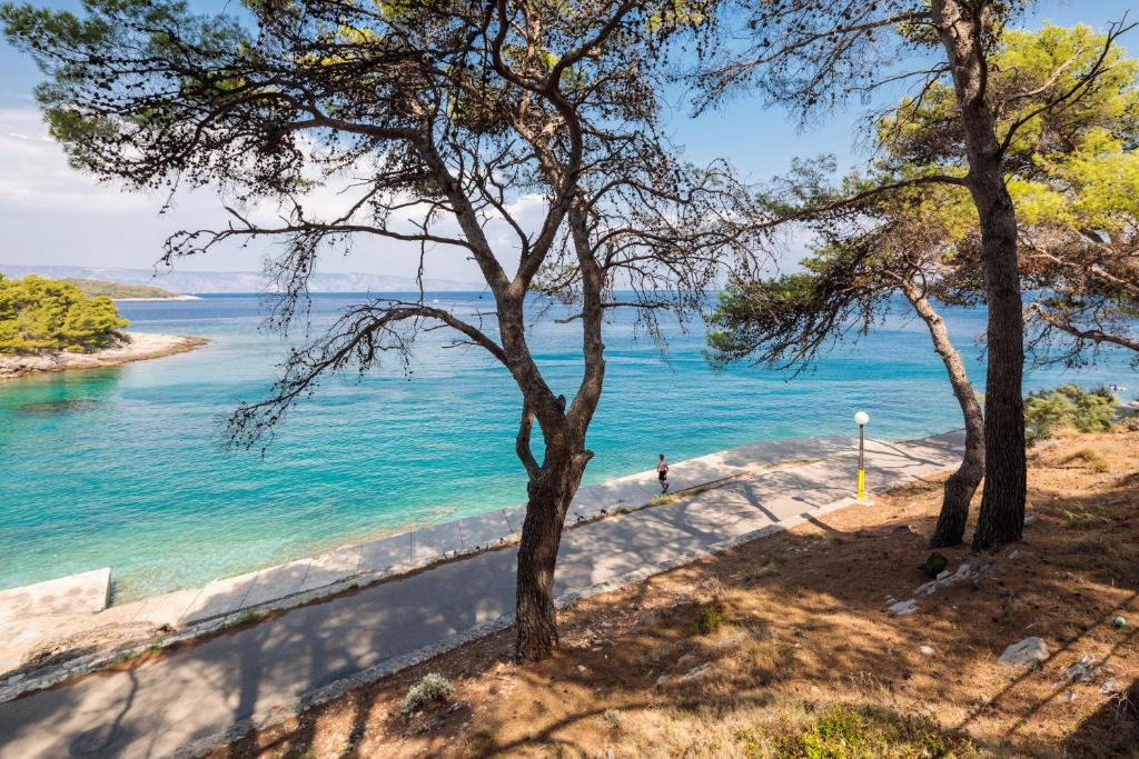 Uživajte u mediteranskom ambijentu Fontana Resorta 2* na Hvaru, gdje priroda, more i spokoj stvaraju idealne uslove za odmor!