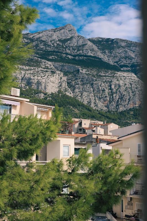 Uživajte u odmoru iz snova u Villi Katarina 4* na Makarskoj rivijeri, okruženi buđenjem prirode, mirisom mora i toplinom mediteranskog sunca!