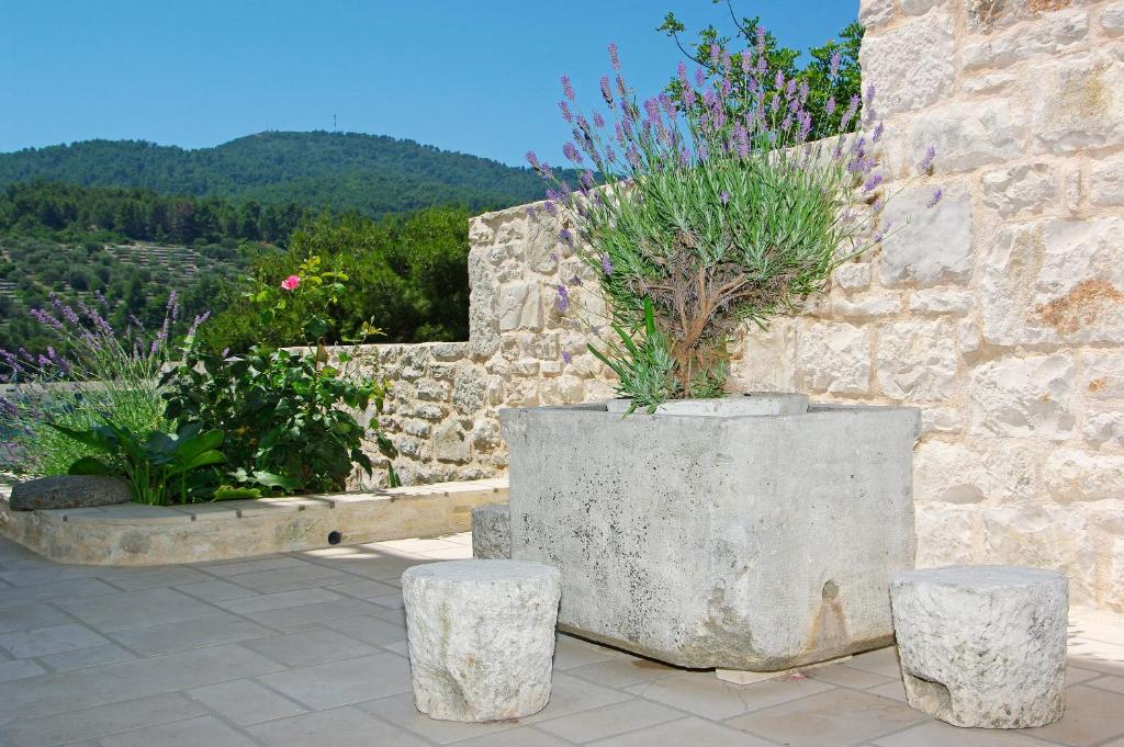 Otkrijte čari Vela Luke na Korčuli – prepustite se sunčanim danima, istražite prekrasne otočne pejzaže i uživajte u ugodnom boravku u Villi Telenta 4*!
