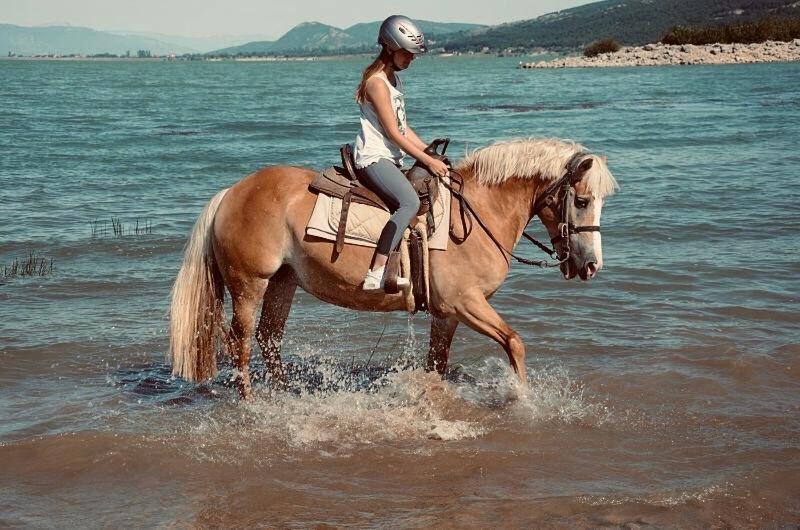 Tomislavgrad – uživajte u jedinstvenom ambijentu Eco sela Grabovica, gdje se priroda i mir spajaju uz predivan pogled na Buško jezero!