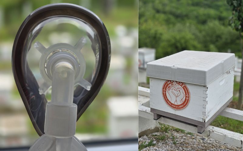 Maksuz Api & Wellness centar - odmorite se i udahnite ljekoviti zrak direktno iz pčelinje košnice uz potpuno prirodno opuštanje i regeneraciju!