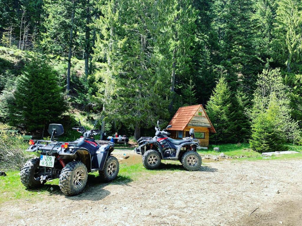 Uživajte u savršenom planinskom odmoru u Villi Ugar 3* na prelijepom Vlašić uz nezaboravnu avanturu i vožnju quadom kroz planinske predjele!