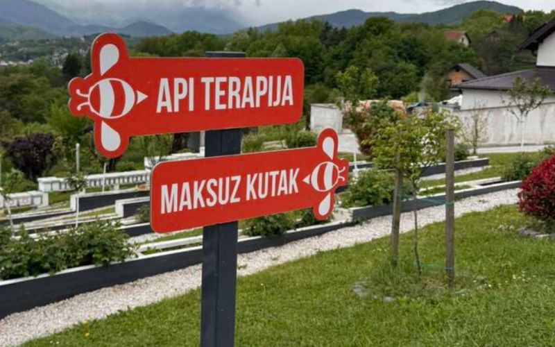 Maksuz Api & Wellness centar - odmorite se i udahnite ljekoviti zrak direktno iz pčelinje košnice uz potpuno prirodno opuštanje i regeneraciju!
