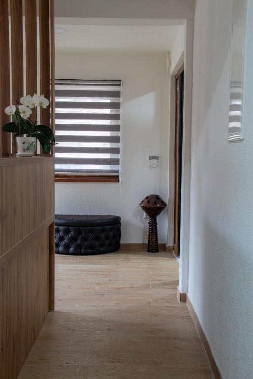 Pansion A&M Vlašić – uživajte u proljetnom odmoru uz svjež planinski zrak, luksuzan boravak i adrenalinske quad ture!