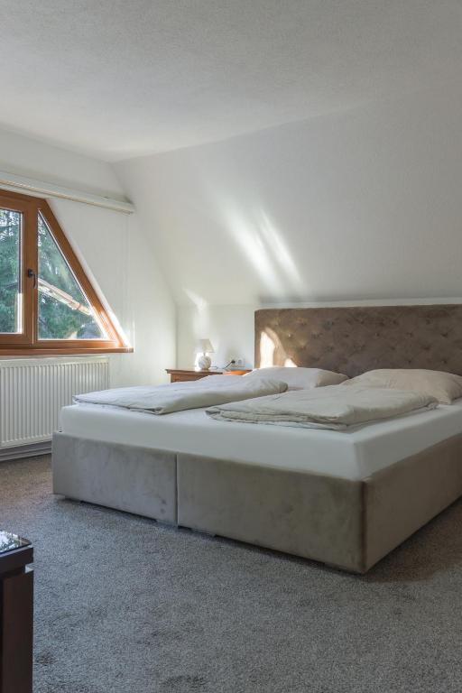 Pansion A&M Vlašić – uživajte u proljetnom odmoru uz svjež planinski zrak, luksuzan boravak i adrenalinske quad ture!