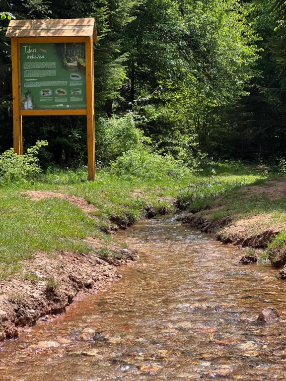 Nedjelja posvećena vašem miru – Wellness, joga i zdravi ručak uz pogled na Trebević u hotelu Pino Nature 4*!