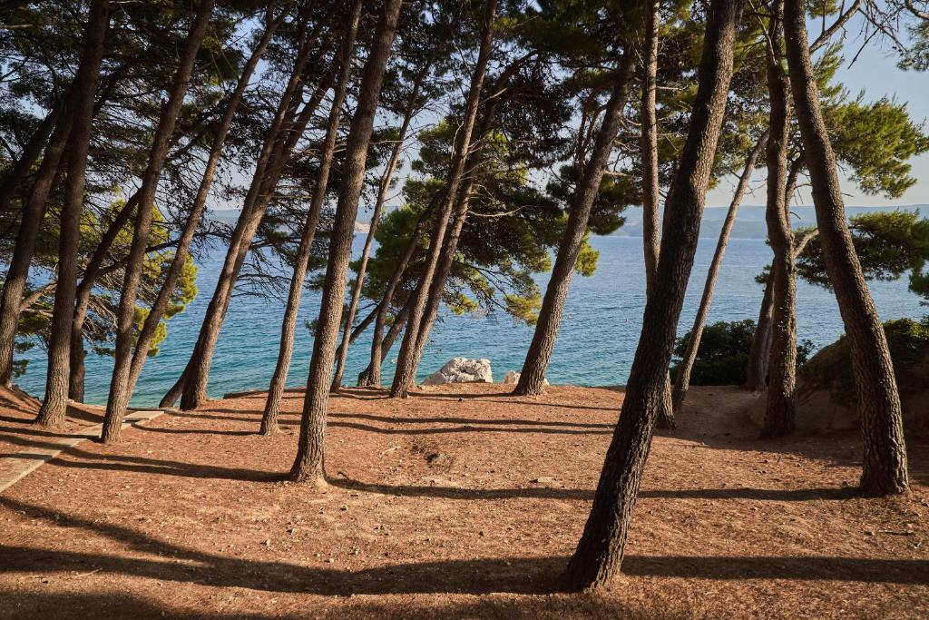 Sagitta All Inclusive Holiday Resort 3* | Prepustite se čarima Jadrana uz kristalno čisto more, mediteranski ambijent i bezbrižne trenutke ispunjene odmorom i uživanjem!