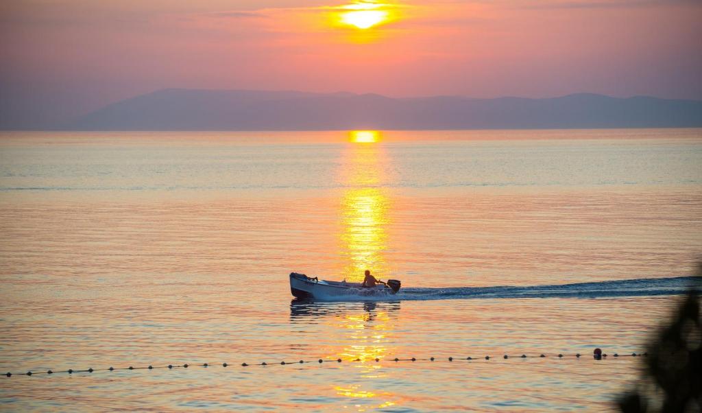 Vaš savršeni bijeg uz more počinje u Beach Hotelu Croatia 3* – uživajte u udobnosti, miru i ljepotama Drašnica na Jadranskoj obali!