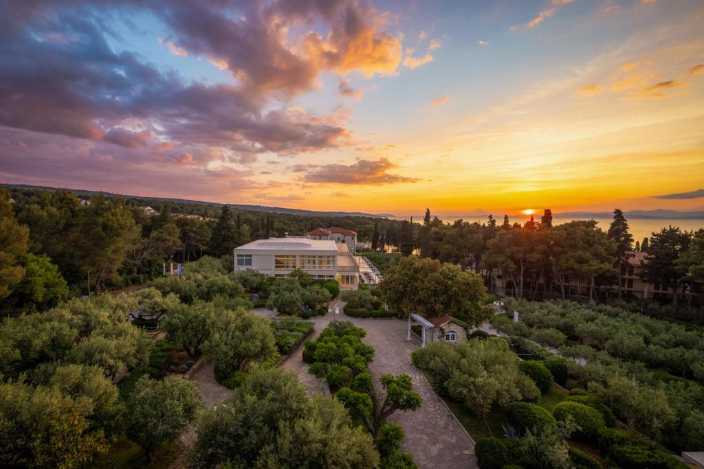 Doživite čaroliju Brača u Aminess Vival Velaris Resortu 4* – romantična atmosfera, mirisi Mediterana i nezaboravni morski doživljaji!