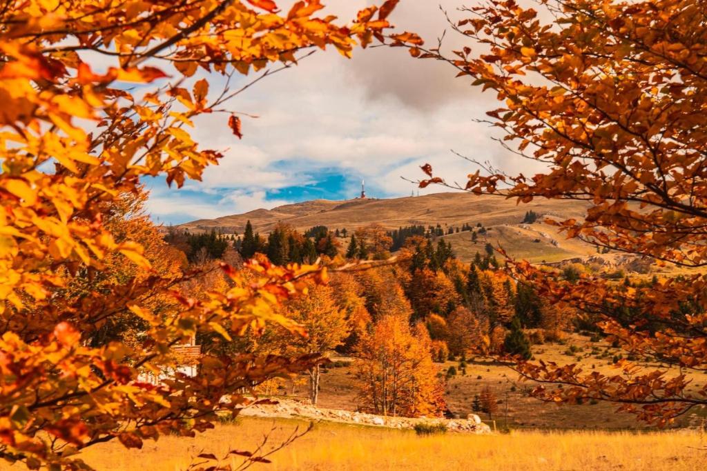 Pansion A&M Vlašić – uživajte u proljetnom odmoru uz svjež planinski zrak, luksuzan boravak i adrenalinske quad ture!