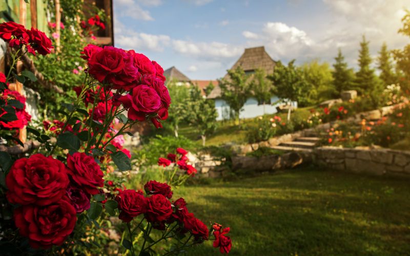 Doživite Turističko naselje Čardaci – oazu mira gdje se priroda, arhitektura i gostoprimstvo spajaju u savršen bijeg od svakodnevice!