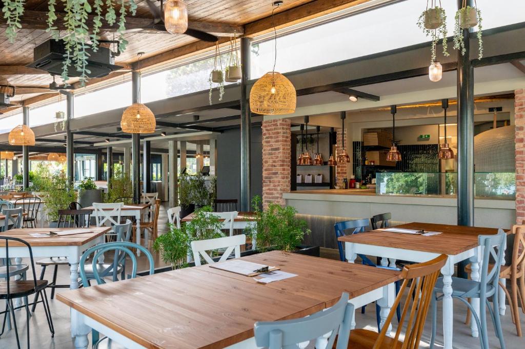 Kamp Polari, Rovinj I Uživajte u odmoru okruženi stoljetnim maslinama, borovim šumama i kristalno čistim morem u srcu Istre!