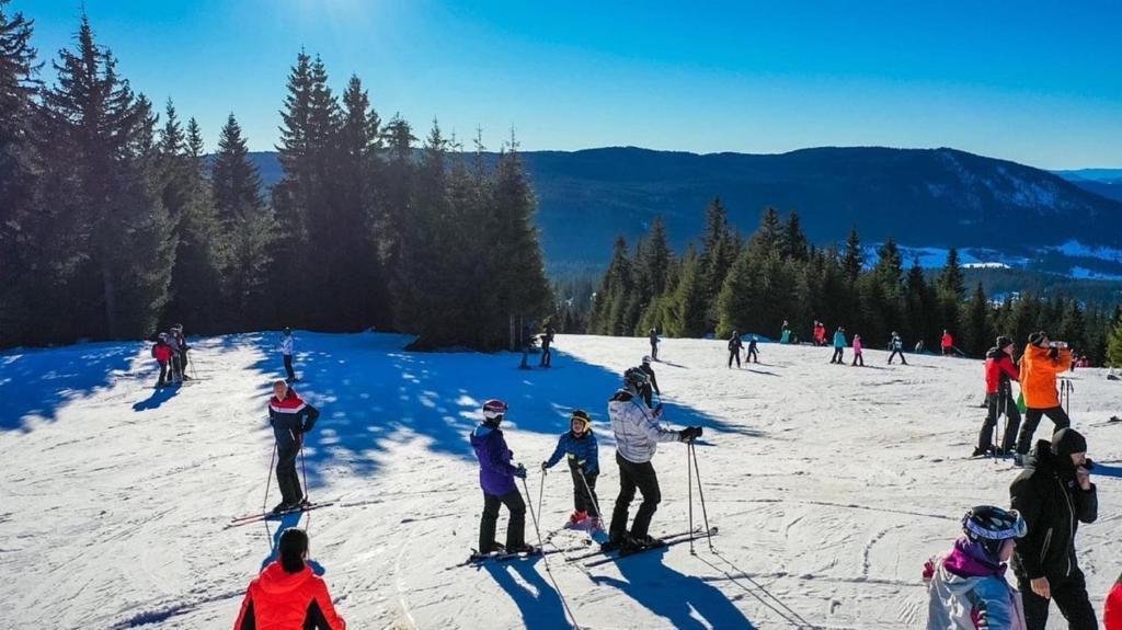 Zima na Vlašiću nikada nije bila ljepša – uživajte u vrhunskoj usluzi, toplini doma i čarobnom zimskom ambijentu Ville Ugar 3*!