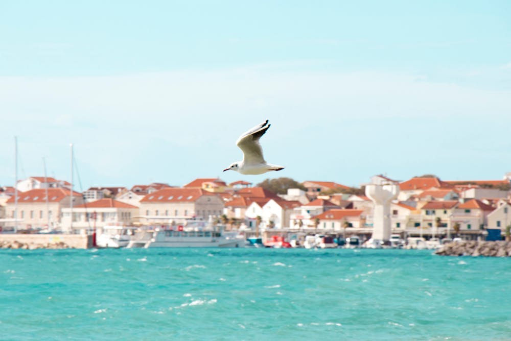 Uživajte u čarima Vodica uz more i priuštite sebi nezaboravan porodični odmor u Hotelu Punta 4* uz ALL INCLUSIVE LIGHT uslugu i posebne trenutke za pamćenje!