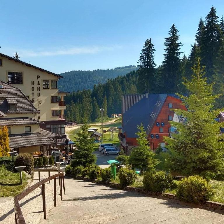 Provedite ljetne dane na Vlašiću u Pansionu A&M i uživajte u spoju prirodnog okruženja, udobnog smještaja i prijatne atmosfere!