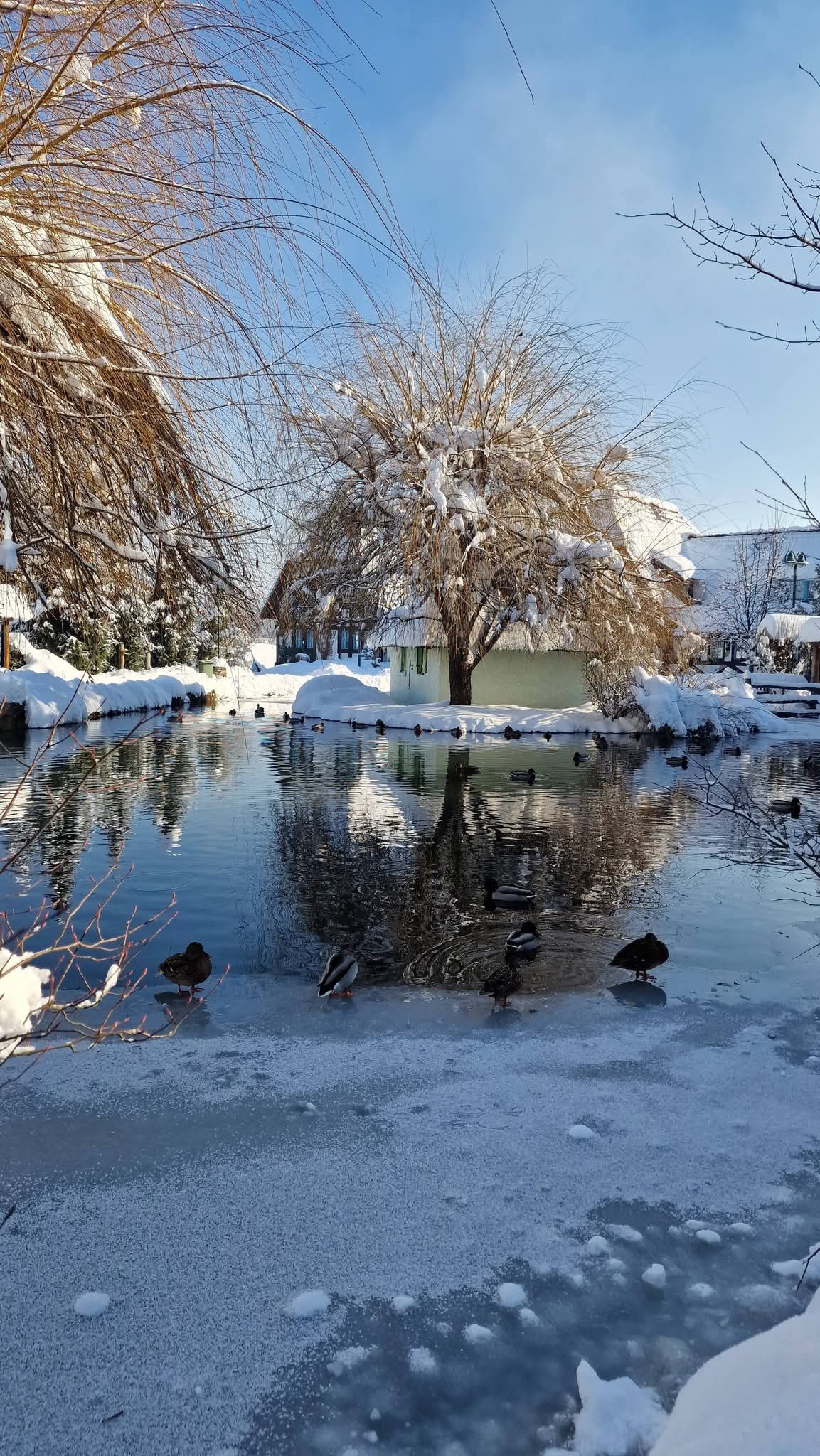 Doživite Turističko naselje Čardaci - mjesto gdje se priroda, mir i udobnost spajaju u nezaboravno iskustvo odmora!
