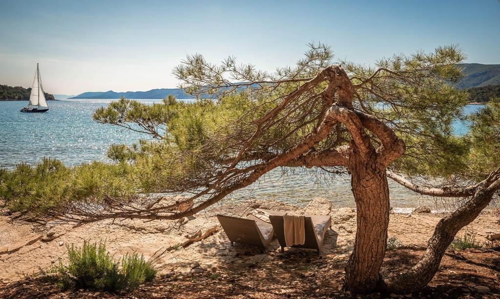 Mir, udobnost i mediteranska čarolija – Vaš odmor na Hvaru u Aminess Younique Senses Resort 4*, okružen prirodom, morem i borovom šumom!