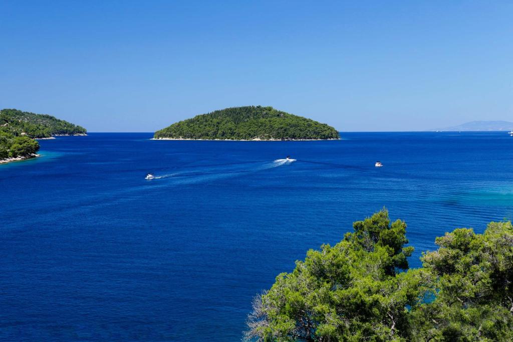 Odmor na čarobnoj Korčuli – uživajte u kristalno čistom moru, mediteranskom ambijentu i opuštajućem boravku u Villi Telenta 4* u Vela Luci!
