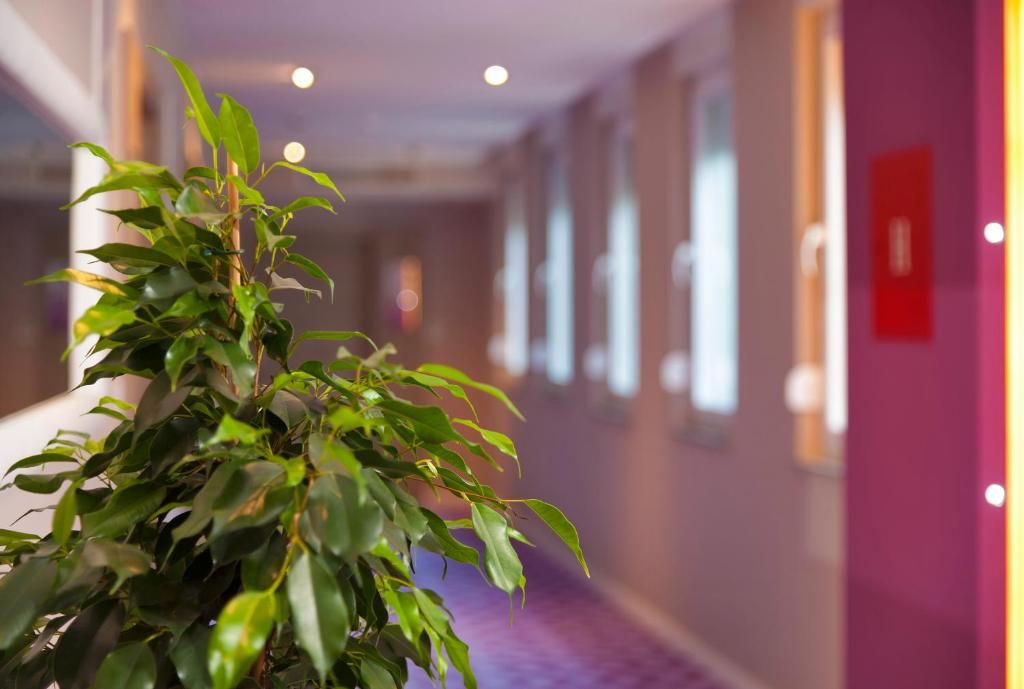 Bijeg u oazu mira i luksuza u srcu Hercegovine – priuštite sebi nezaboravno iskustvo opuštanja u Wellness &  Spa centru Hotela Eden Hotel & Spa 4*, Mostar!