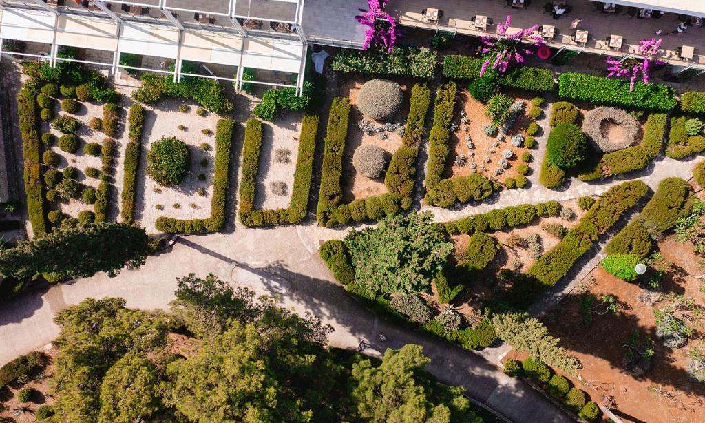 Doživite čaroliju Brača u Aminess Vival Velaris Resortu 4* – romantična atmosfera, mirisi Mediterana i nezaboravni morski doživljaji!