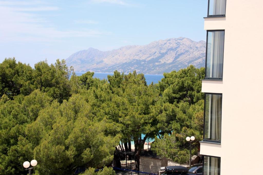 Villa Verica 4* | Posjetite Bašku Vodu i fantastičan junski odmor uz uživanje sa porodicom ili prijateljima provedite u luksuzno opremljenih apartmana!