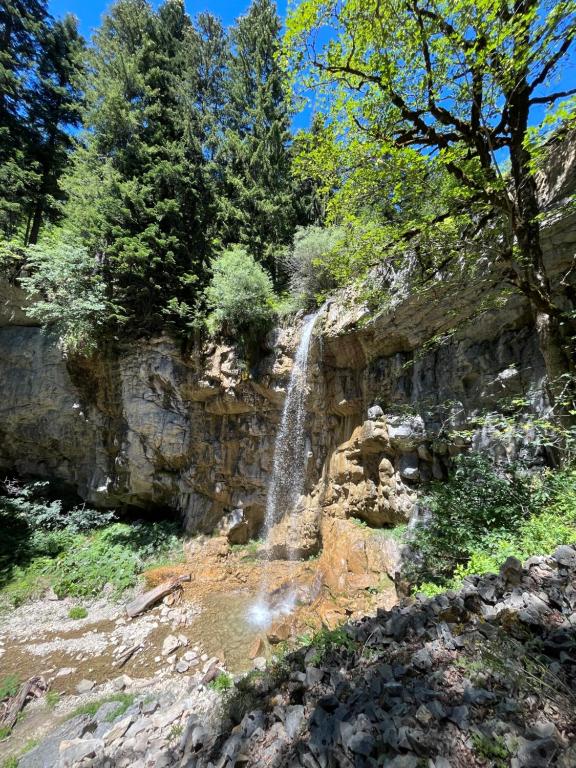 Provedite ljetne dane na Vlašiću u Pansionu A&M i uživajte u spoju prirodnog okruženja, udobnog smještaja i prijatne atmosfere!