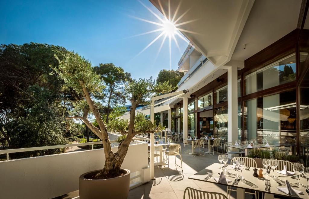 Osjetite duh autentičnog Mediterana kroz boravak u Rovinju uz savršenu udobnost i tišinu Hotela Eden 4*!