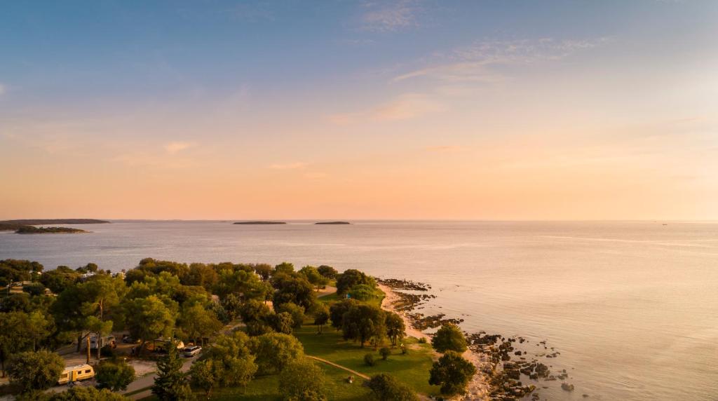 Kamp Polari, Rovinj I Uživajte u odmoru okruženi stoljetnim maslinama, borovim šumama i kristalno čistim morem u srcu Istre!