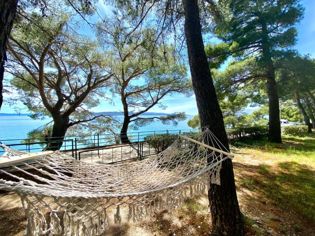 Family Resort Urania u Baškoj Vodi – savršeno mjesto za odmor u zelenoj oazi uz more, idealno za porodično uživanje, opuštanje i nezaboravne trenutke uz miris borova i šum valova!