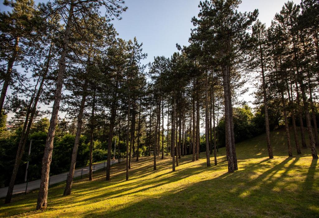 Doživite potpuni odmor u Motelu Babino Brdo 4*, Derventa – uživajte u čistom zraku i predivnom pogledu na grad iz udobnih soba ili bungalova!