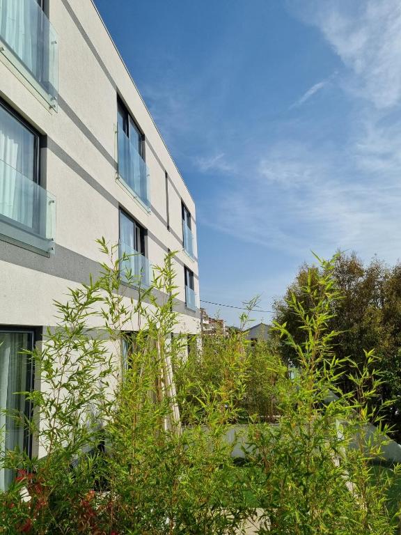 Jona Rooms Podstrana – uživajte u savršenom spoju mediteranskog ugođaja, blizine mora i elegantnog smještaja za odmor ispunjen uživanjem!