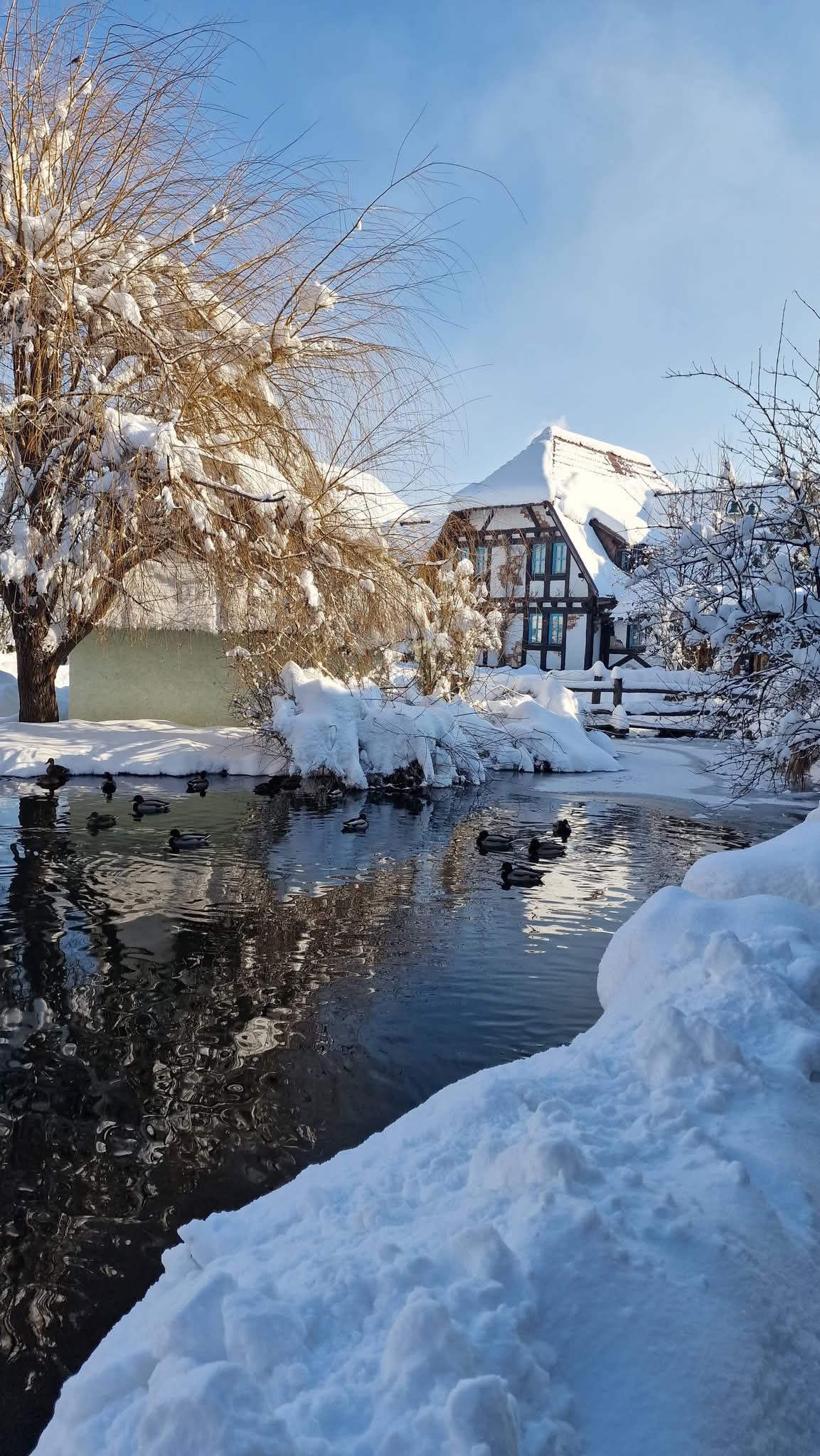 Doživite Turističko naselje Čardaci - mjesto gdje se priroda, mir i udobnost spajaju u nezaboravno iskustvo odmora!