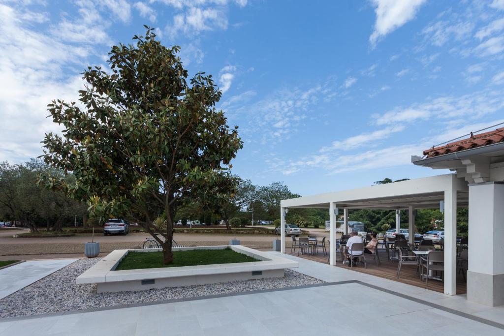 Kamp Polari, Rovinj – savršena destinacija za bijeg od svakodnevice, gdje vas očekuju čisto more, prirodni hlad, mirisne borove šume i opuštajuća atmosfera sunčanog Mediterana!