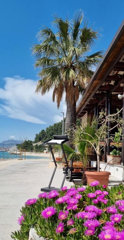 Jona Rooms Podstrana – uživajte u savršenom spoju mediteranskog ugođaja, blizine mora i elegantnog smještaja za odmor ispunjen uživanjem!