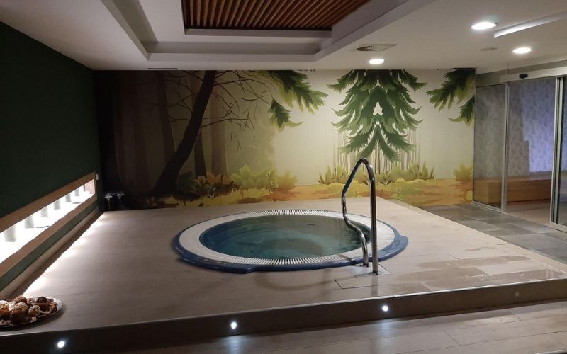 Otkrijte čari ljeta na planini kroz spoj prirodnog mira i vrhunskog Wellness & Spa opuštanja u Aparthotelu Vučko 4*, Jahorina!