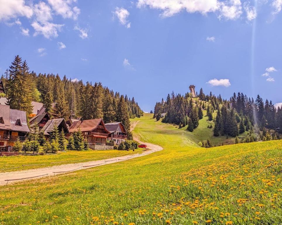 Pansion A&M Vlašić I Uživajte u spoju planinskog zraka, luksuznog boravka, organizovane quad ture i opuštajuće Wellness atmosfere!