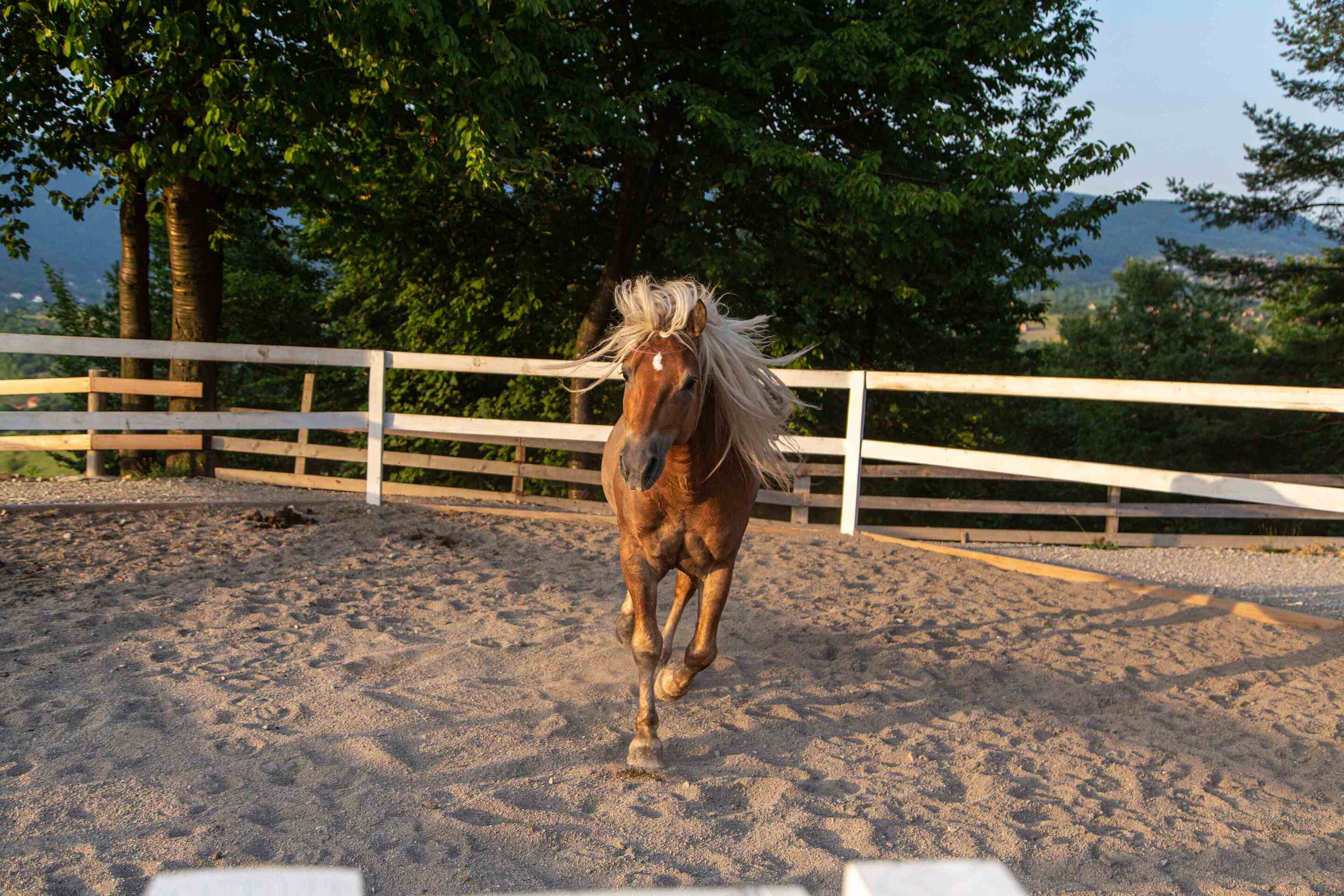 Otkrijte mjesto gdje priroda liječi, stres nestaje, a mir i ljepota netaknute prirode stvaraju nezaboravan doživljaj – Malak Farma!