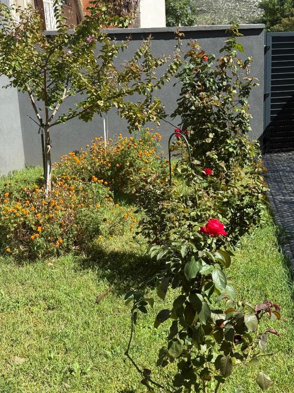 Hotel Spa Olive 4*, Mostar – mjesto koje spaja vrhunski luksuz, opuštajuću udobnost i autentični šarm Hercegovine!