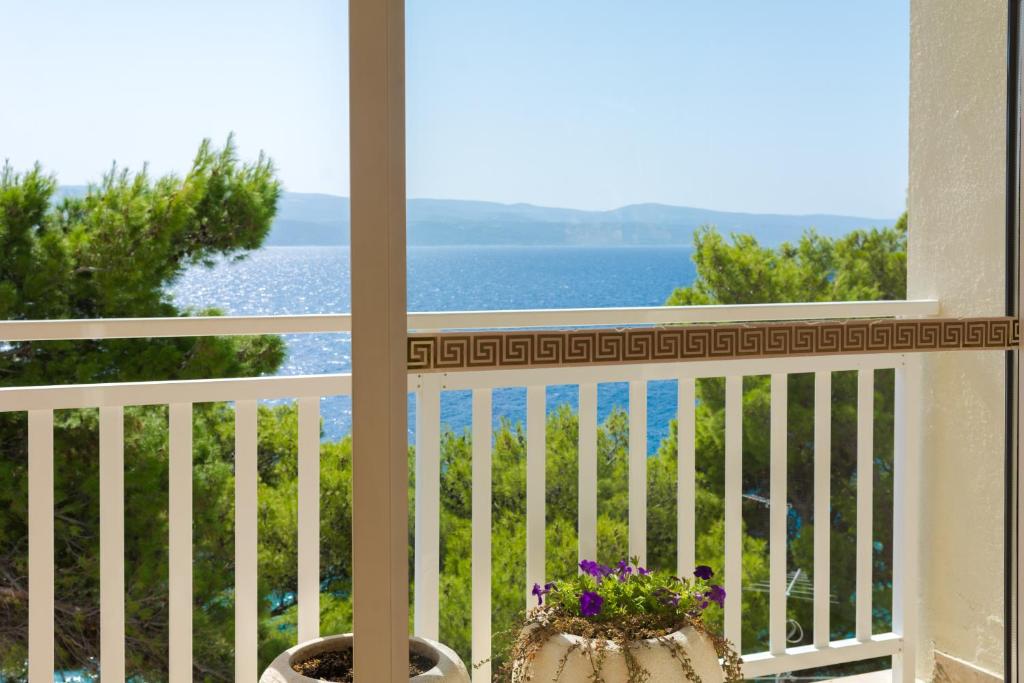 Sagitta All Inclusive Holiday Resort 3* | Prepustite se čarima Jadrana uz kristalno čisto more, mediteranski ambijent i bezbrižne trenutke ispunjene odmorom i uživanjem!
