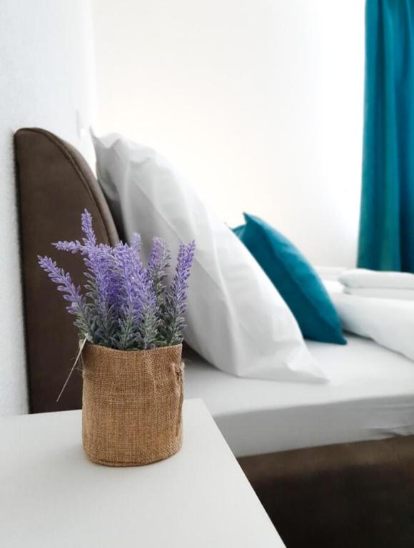 Posjetite Banja Luku i priuštite sebi nezaboravan Wellness & Spa odmor u ugodnom smještaju i opuštajućoj atmosferi Hotela Astorya 4*!