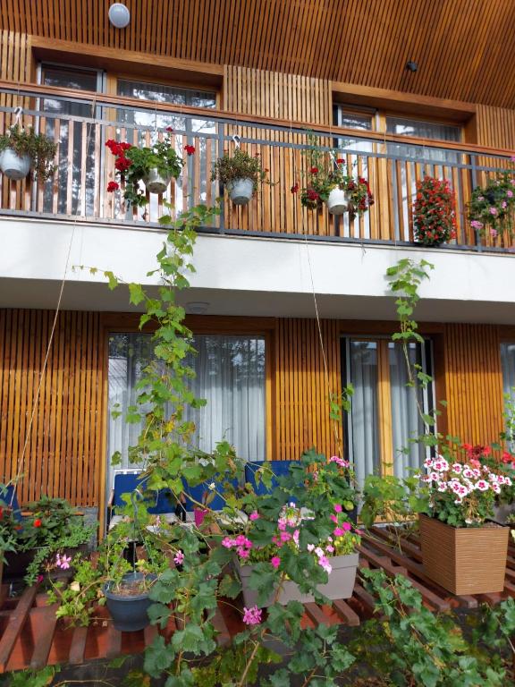 Tarčin Forest Resort & Spa 5* - Deluxe Vila | Iskusite harmoniju i ravnotežu kroz Wellness & Spa odmor u prirodnom okruženju!