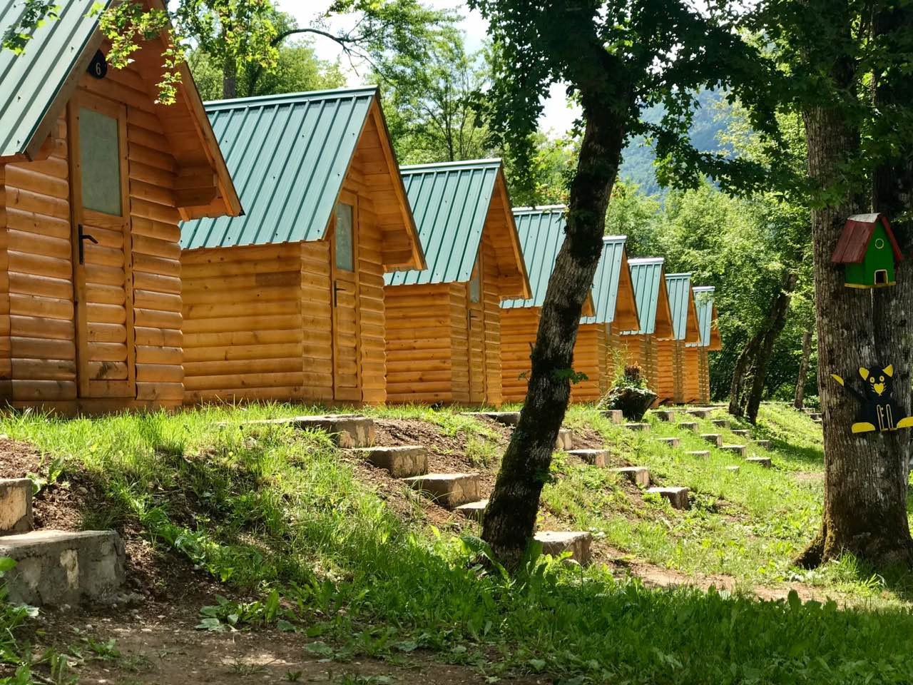 Kamp Highlander │ Posjetite rijeku Taru i prašumu Perućicu koji predstavljaju nedirnuti biser prirode u kojima Vas očekuje trodnevni adrenalinski rafting!
