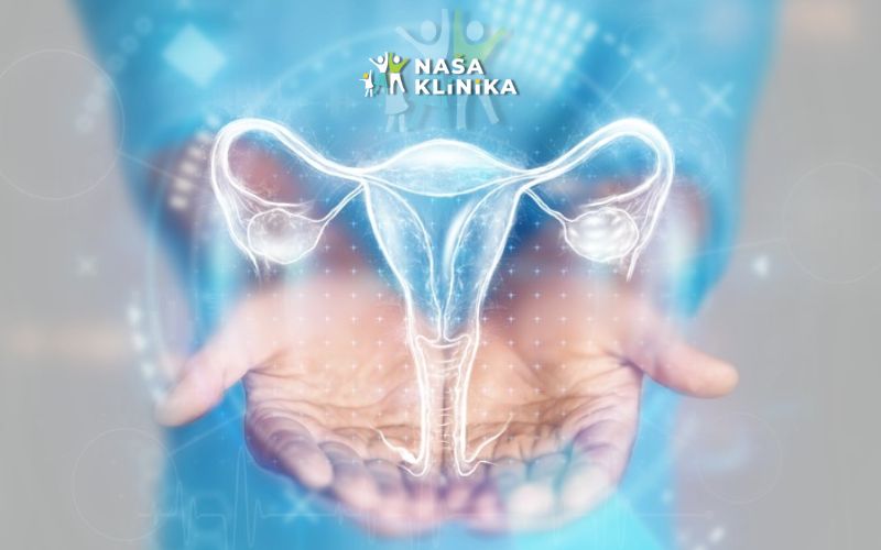 Obavite kompletan sistematski ginekološki pregled + 4D ultrazvuk dojki uz stručno osoblje Ginekološke ordinacije Naša klinika!